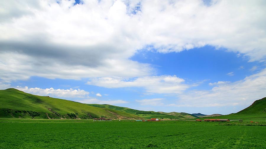 The special climate and geographical position at the junction of the North China Plain and the Inner Mongolia Grasslands give Bashang Grassland its unique natural landscapes and make it a popular destination for tourists and photographers. (China.org.cn)