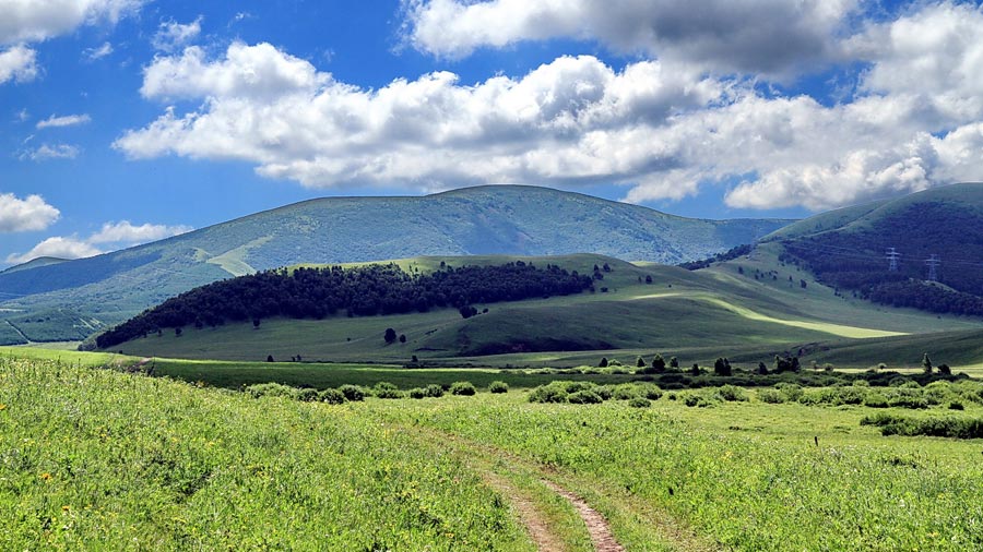 The special climate and geographical position at the junction of the North China Plain and the Inner Mongolia Grasslands give Bashang Grassland its unique natural landscapes and make it a popular destination for tourists and photographers. (China.org.cn)