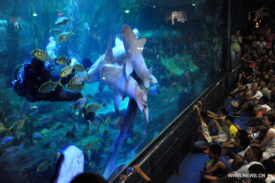 Tourists enjoy a "dancing with sharks" show at the Underwater World in Qingdao, east China's Shandong Province, July 15, 2013. (Xinhua/Li Ziheng)