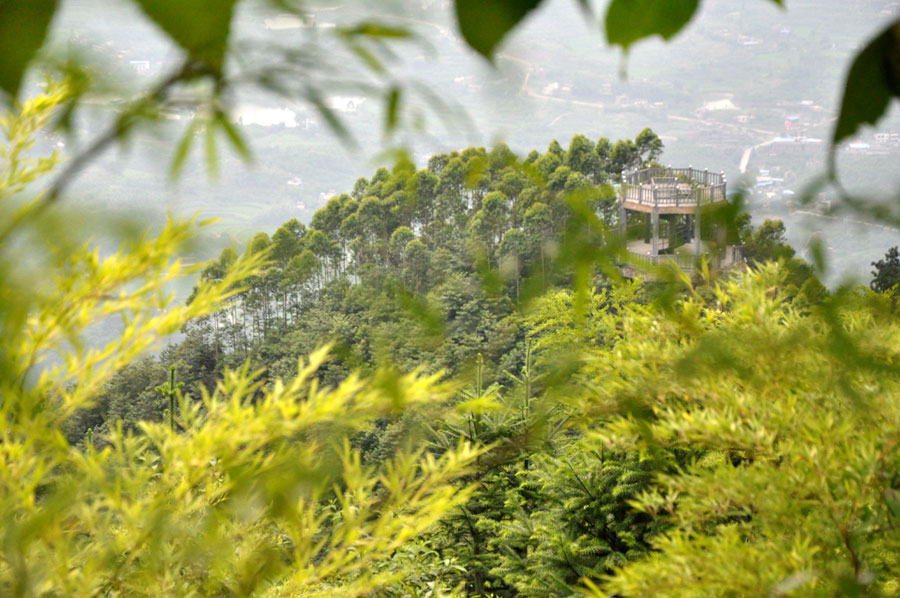 The immortal islands at a distance in the bamboo sea. (CRIENGLISH/ Wang Yuzhe)