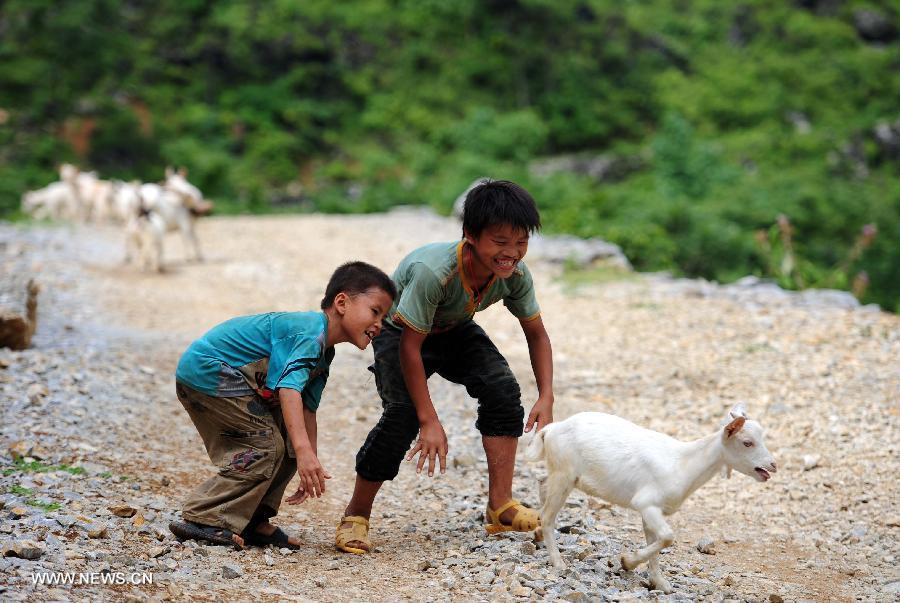 Two boys catch a goat in Nongyong Village of Dahua Yao Autonomous County in south China's Guangxi Zhuang Autonomous Region, July 14, 2013. Children here help their family herd goats in their summer vacation as goats breeding was the major income of local families. (Xinhua/Huang Xiaobang)