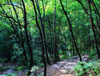 Cangshan Mountain in Shanxi province