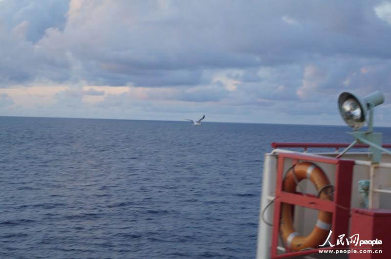  Sea gulls sweep past the ship’s rails. (People’ Daily Online/ Duan Xinyi)