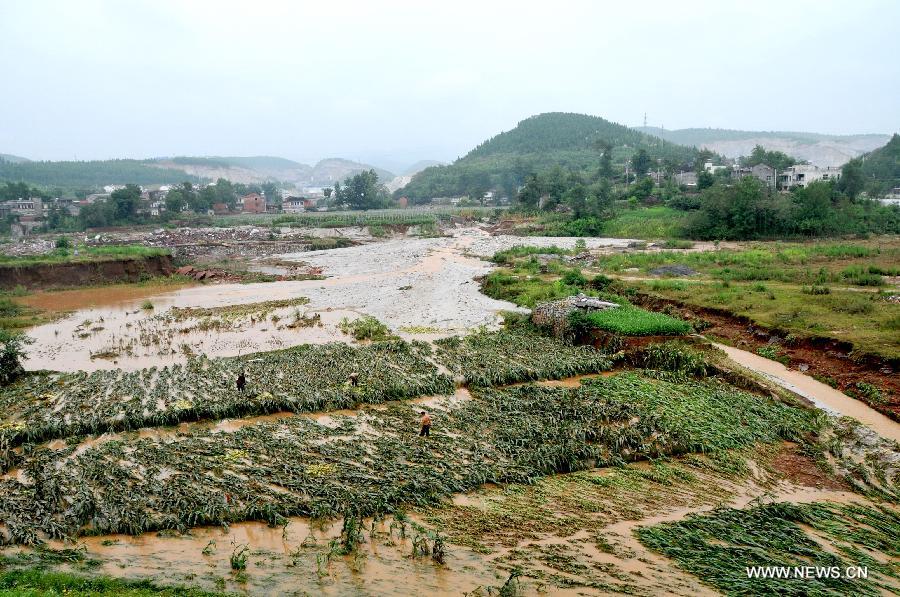 Photo taken on July 18, 2013 shows flooded fields in Liujiacun Village of Yangxi Town in Yun County of Shiyan City, central China's Hubei Province. Four people were killed during heavy rainfall lasting from Wednesday evening to Thursday morning. (Xinhua/Cheng Fuhua)