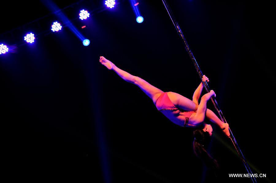 A dancer competes during the game of the 3rd China Pole Dance Championship in Tianjin, China, July 18, 2013. (Xinhua/Zhai Jianlan)