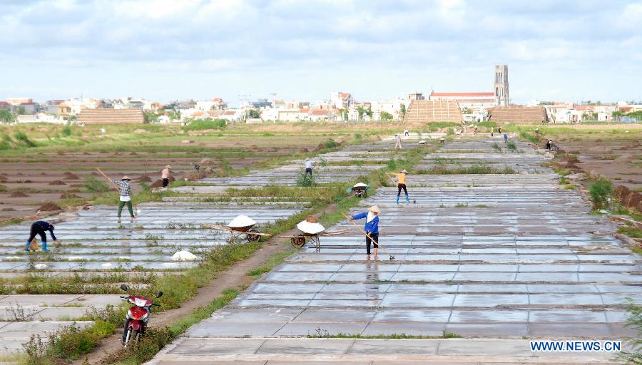 Workers collect salt from a salt field in north Vietnam's Nam Dinh province, July 19, 2013. Vietnam's salt production is expected to reach one million tons in 2013, a year-on-year increase of 18 percent, according to the Ministry of Agriculture and Rural Development. (Xinhua/VNA)