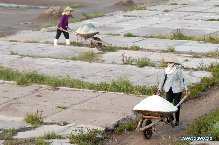 Workers carry salt to storage in north Vietnam's Nam Dinh province, July 19, 2013. Vietnam's salt production is expected to reach one million tons in 2013, a year-on-year increase of 18 percent, according to the Ministry of Agriculture and Rural Development. (Xinhua/VNA)