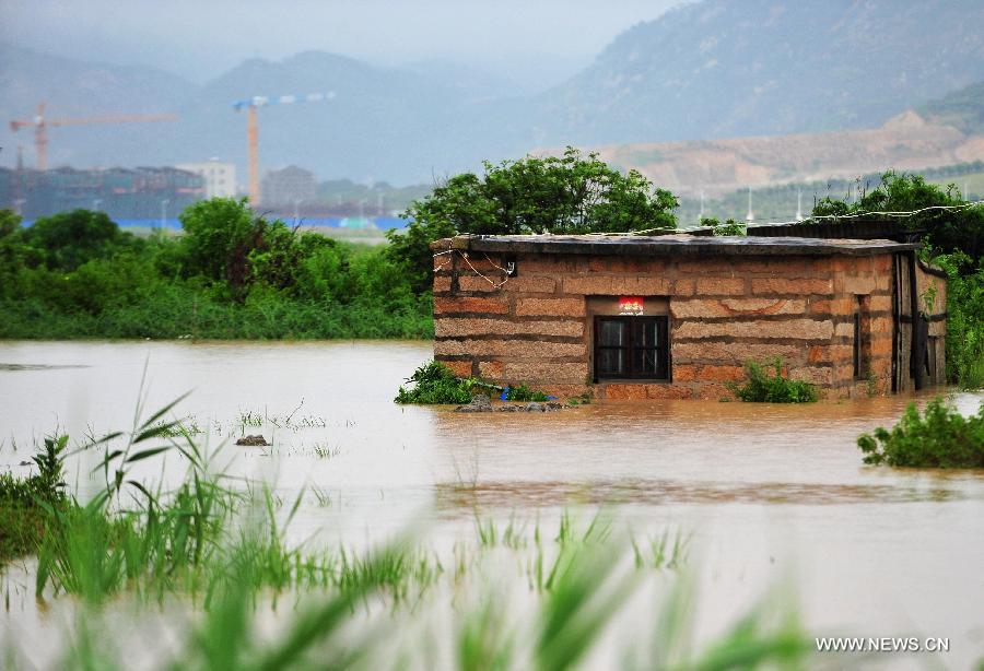 Paddy fields are submerged by flood in Gangwei Township in Longhai of Zhangzhou City, southeast China's Fujian Province, July 19, 2013. Tropical storm Cimaron made its landfall in Fujian Thursday evening, bringing heavy rain and strong gales to southern part of the province. Xiamen, Zhangzhou, Quanzhou and Putian were severely affected by the storm, with the rainfall in some regions like Longhai reaching 520 millimeters on Friday. About 123,000 residents were afflicted by the storm and no casualties have been reported yet. (Xinhua/Wei Peiquan) 