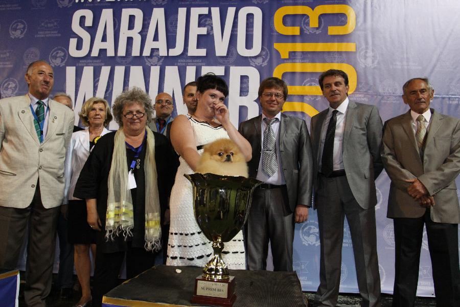 Winning dog of the first day is placed in the trophy by her owner at the Sarajevo international dog competition in Sarajevo, Bosnia-Herzegovina, on July 19, 2013. (Xinhua/Haris Memija)