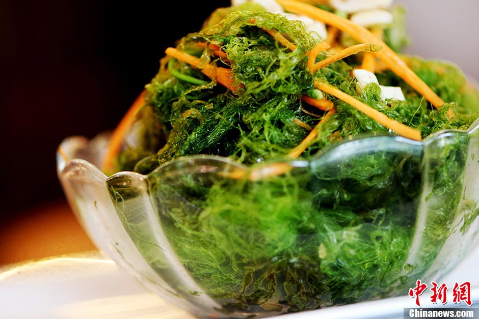 A green algae feast in "Feichang Hao" (very good) restaurant, Huangyang Road, Qingdao, east China's Shandong province, July 12, 2013. Photo shows green algae salad. (CNS/Xue Hun)