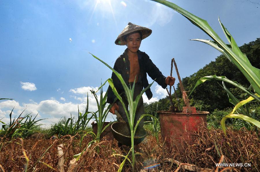 A villager waters the crops in Shanjiang Town of Fenghuang County, central China's Hunan Province, July 23, 2013. A drought that has lasted since early July has left 384,000 people short of drinking water in the province. Eighty-seven counties of 12 cities and prefectures in the province have been affected by the drought, with about 260,000 hectares of crops damaged and 216,000 heads of livestock short of water. Also in the province, 128 rivers and 124 reservoirs are dry. (Xinhua/Long Hongtao)