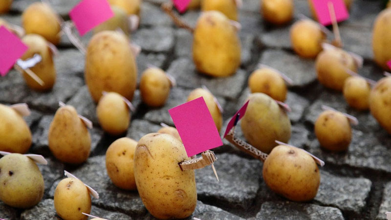 Potatoes get crazy when they meet German artist Peter Pink. Pink, based in Berlin, shot the amusing photographs outside a McDonald's in Berlin Neukoelln. (Source: cri.cn)