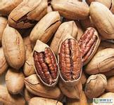 Pecans (Source: news.cn)