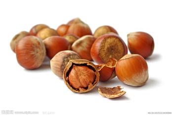 Hazelnut  (Source: news.cn)