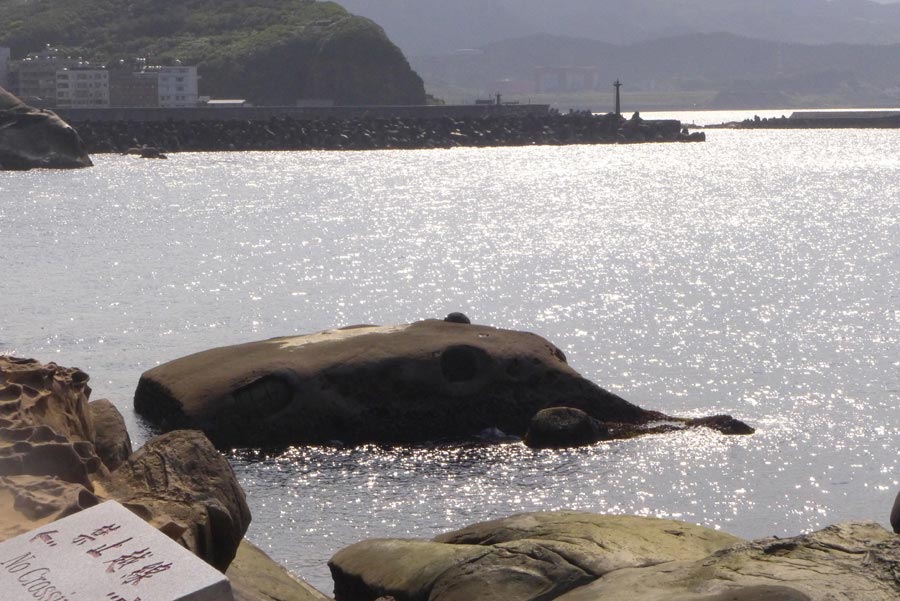 Photo shows the beautiful scenery at the Yehliu Geopark in Taipei County of southeast China's Taiwan Province. The Yehliu Geopark is one of the most well-known geoparks in northern Taiwan, featuring its scenery of efflorescence. (China.org.cn)