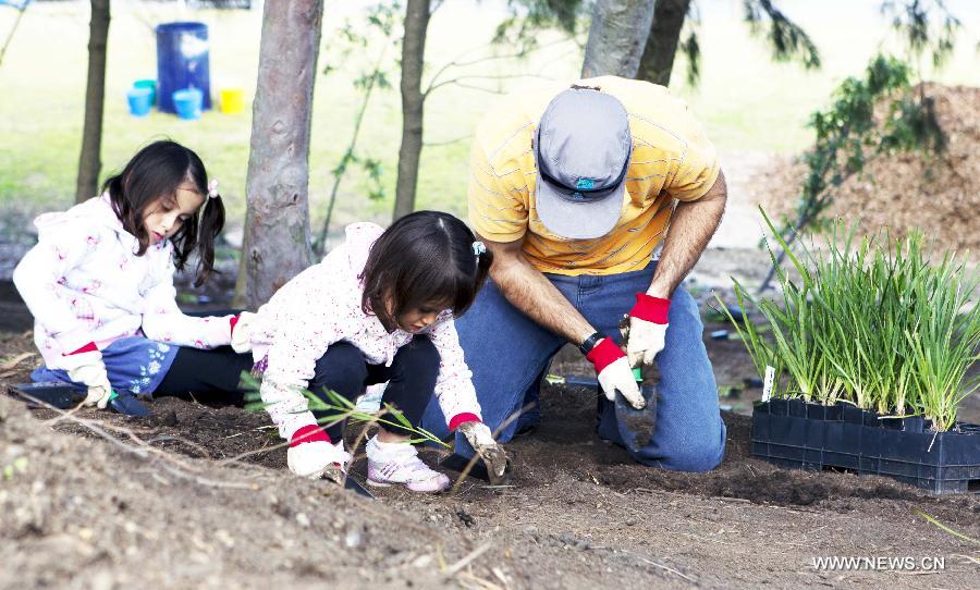 A father and his twin daughters plant at the Sydney Park in Sydney, Australia, on July 28, 2013, during the Australia Planet Ark National Tree Day event. Since the first Planet Ark National Tree Day in 1996, more than three million participants have planted around 20 million trees and shrubs in Australia. (Xinhua/Jin Linpeng)