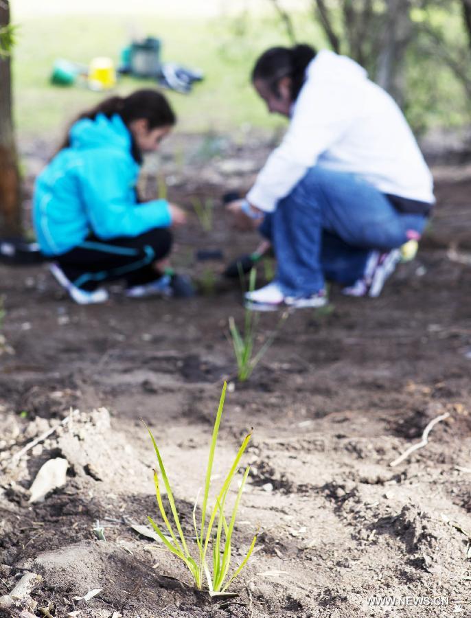 A father teaches his daughter to plant at the Sydney Park in Sydney, Australia, on July 28, 2013, during the Australia Planet Ark National Tree Day event. Since the first Planet Ark National Tree Day in 1996, more than three million participants have planted around 20 million trees and shrubs in Australia. (Xinhua/Jin Linpeng)