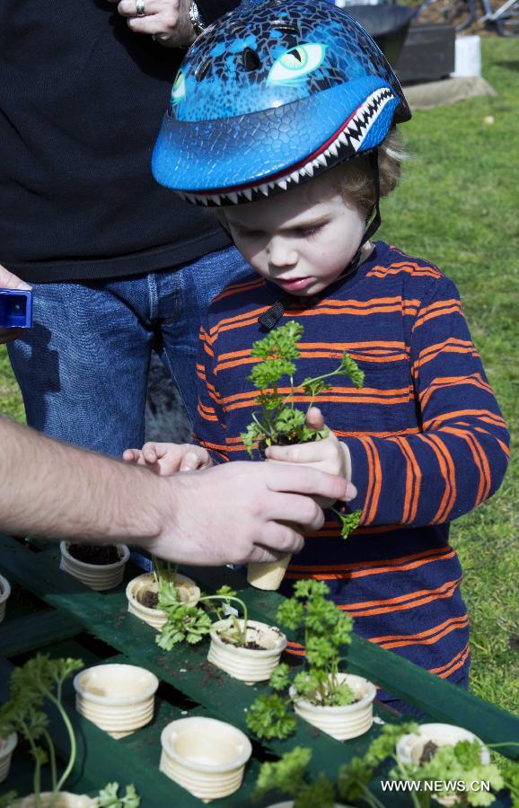 A volunteer teaches a kid to plant at the Sydney Park in Sydney, Australia, on July 28, 2013, during the Australia Planet Ark National Tree Day event. Since the first Planet Ark National Tree Day in 1996, more than three million participants have planted around 20 million trees and shrubs in Australia. (Xinhua/Jin Linpeng)