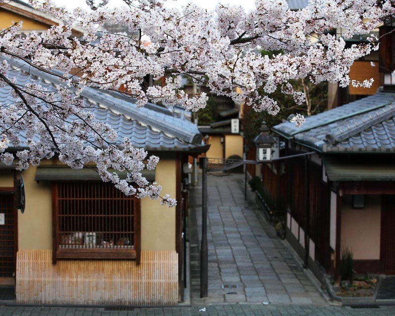 Kyoto, Japan's ancient capital and a living display of Japanese culture and history, is a must-see for visitors to the country. Kyoto's street are filled with traditional wooden houses, and it's renowned for its temples, sakura and autumn hues. While one of Japan's most beautiful cities, Kyoto is also known as one of its most expensive. (Photo: Huanqiu)