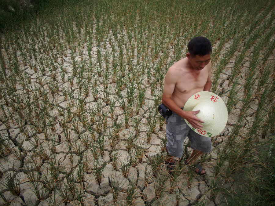 A farmer stands by a cracked farmland in Shangzhai Village of Xiuwen County, southwest China's Guizhou Province, July 31, 2013. Lingering droughts in Guizhou have affected more than 12 million people. Over 2 million people lack adequate supplies of drinking water, and a total of 847,300 hectares of farmland is damaged by the drought. (Xinhua/Liu Xu)