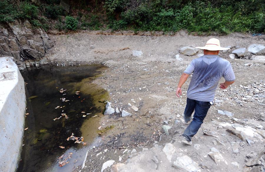 Photo taken on Aug. 13, 2013 shows a dried-up pond which provides water for villagers living in downstream areas in Dongshan Village of Yuyao, east China's Zhejiang Province. High temperatures and scarce rainfall which have lasted over 40 days resulted in severe damage of agriculture and shortage of drinking water for over 417,000 people in Zhejiang. The heat is expected to continue in the following days, according to the local meteorological authority. (Xinhua/Wang Dingchang)