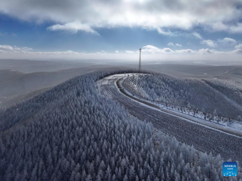 Winter view of Saihanba National Forest Park in N China