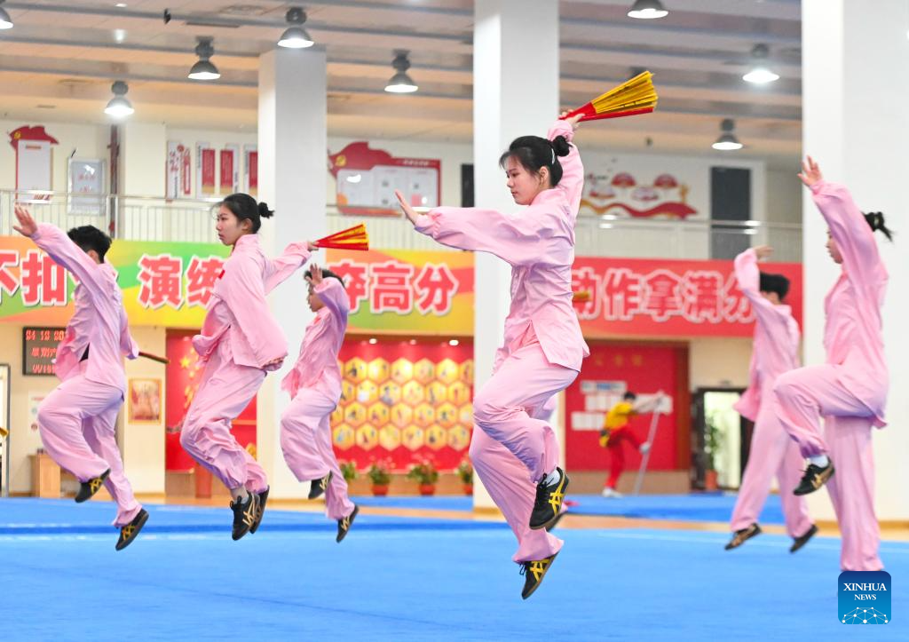 Young people from China and U.S. attend martial arts cultural exchange event in Fujian