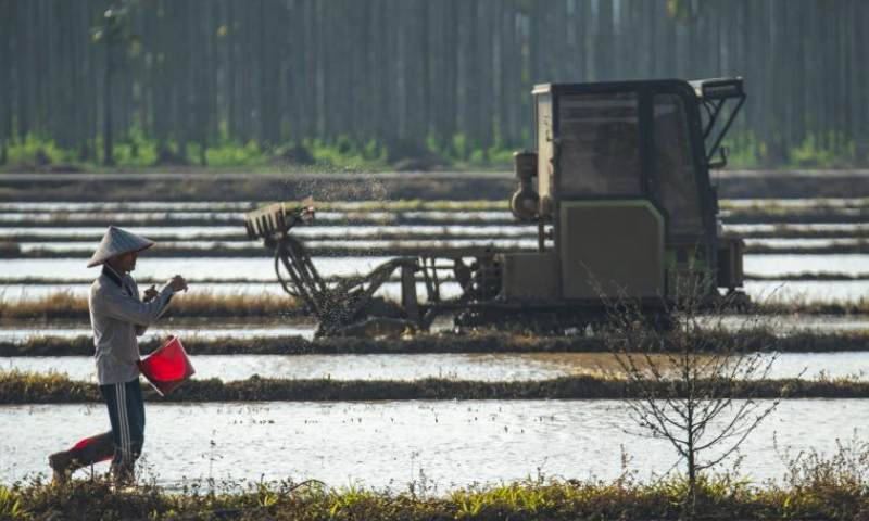 Farmers work in fields in Jiaji Township, Qionghai City of south China's Hainan Province, Feb. 19, 2024. Farmers across China are busy with agricultural production as the day of Yushui (Rain Water), the second of the 24 solar terms in the Chinese lunar calendar, came on Monday this year. (Photo by Meng Zhongde/Xinhua)