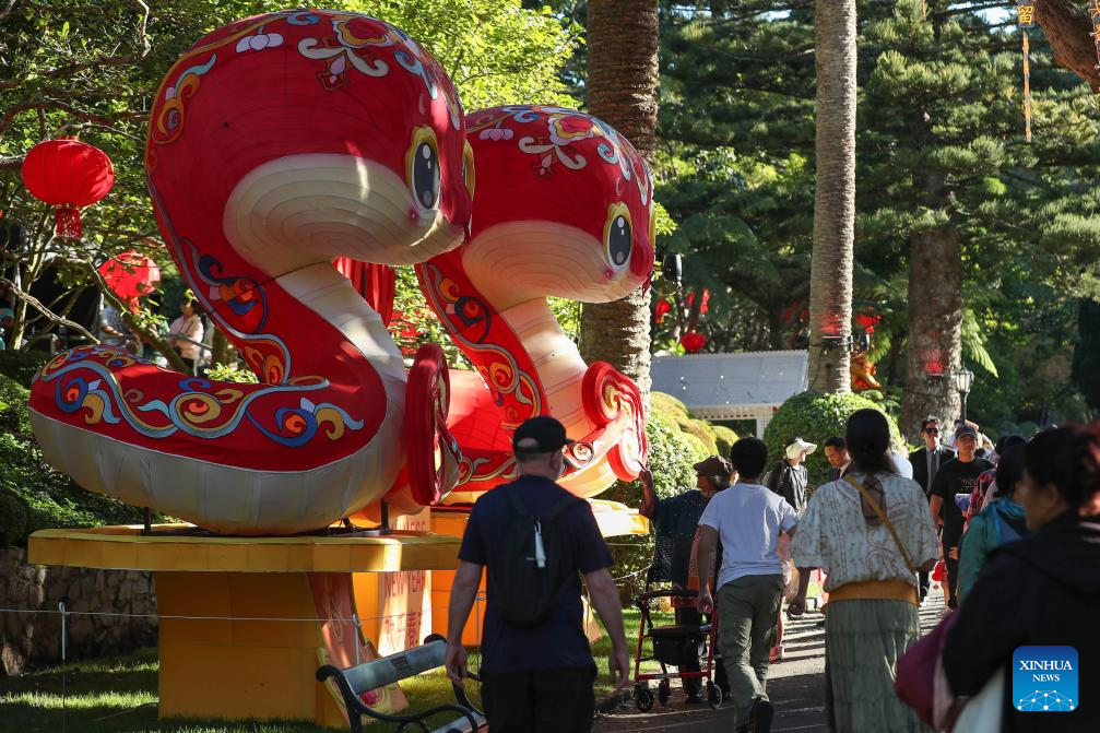 Lantern Festival celebration held in Wellington, New Zealand