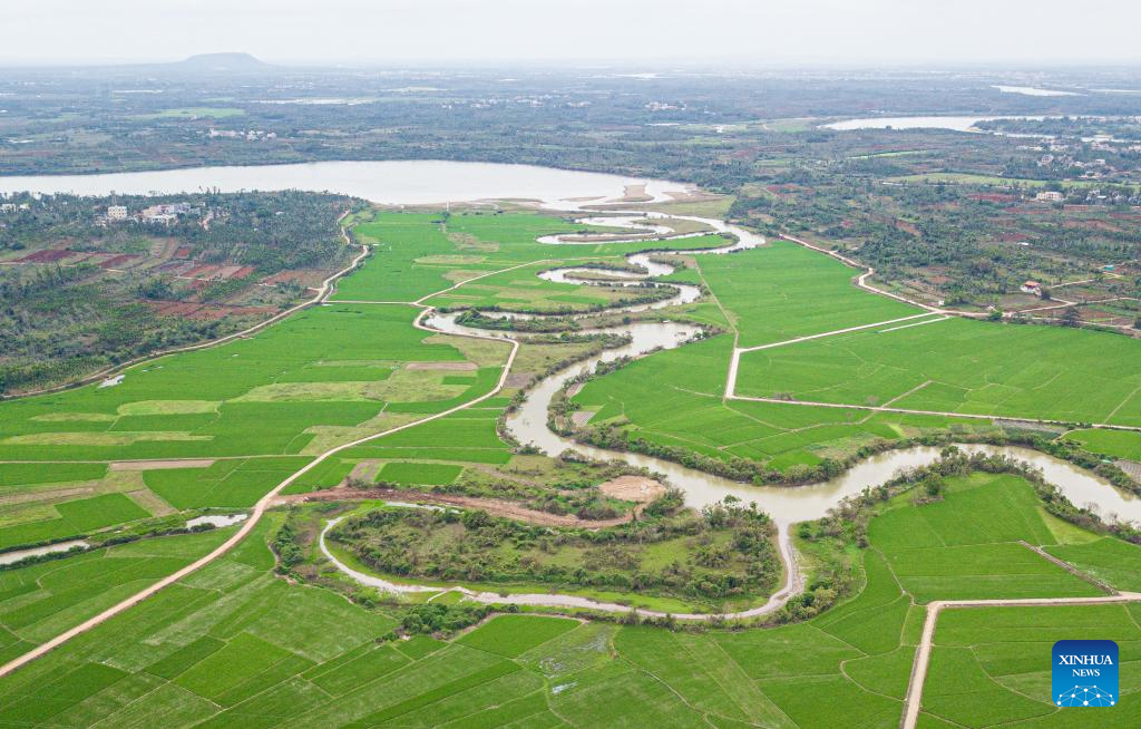 Aerial view of tributary of Nandu River meandering through paddy field in Haikou