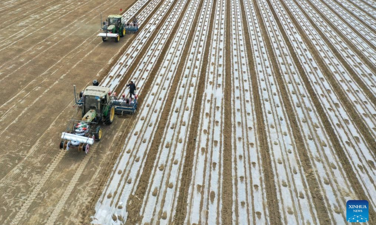 A drone photo shows self-driving seeders working in the farmland in Awat County of Aksu, northwest China's Xinjiang Uygur Autonomous Region, March 27, 2024. Xinjiang is a major hub of cotton production. As the temperature rises, the spring sowing of cotton in Xinjiang kicked off from south to north. In recent years, advancements in agricultural technology have gradually become vital allies to the farmers of Xinjiang. From planting to harvesting, mechanization and intelligent facilities have been widely applied.(Photo: Xinhua)