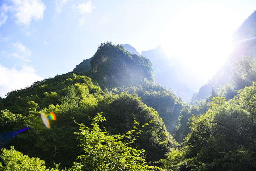 Summer scenery of the Chongqing Wulipo National Nature Reserve in SW China