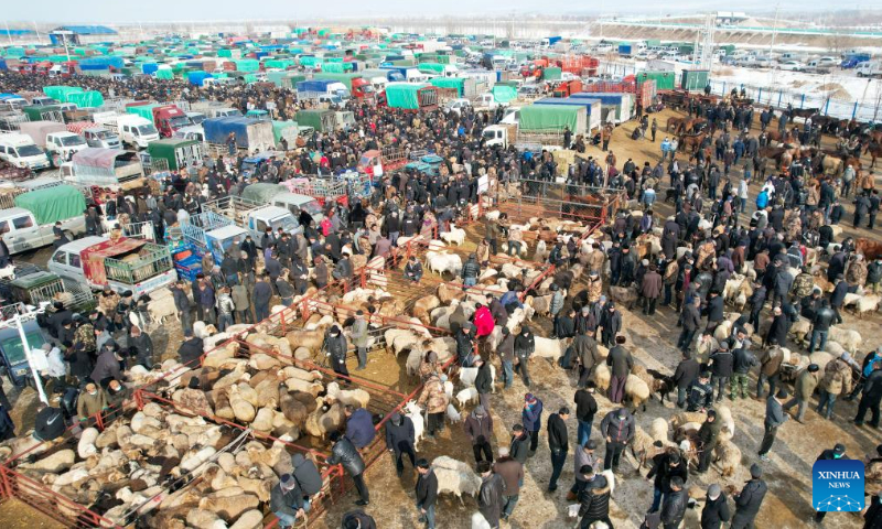 This aerial photo taken on Feb. 1, 2023 shows people selecting cattle and sheep at an agricultural products market in Yining County, northwest China's Xinjiang Uygur Autonomous Region. People gathered here to trade various goods, including live cattle, sheep and horses. Photo: Xinhua