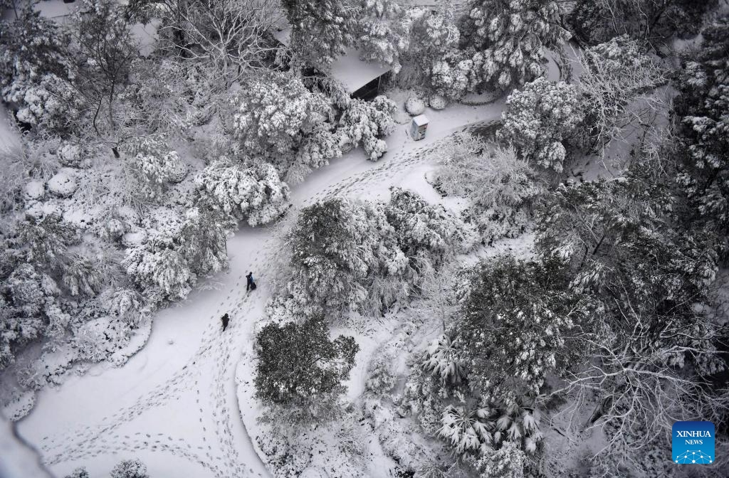 People walk in the snow in Changsha, central China's Hunan Province, Jan. 22, 2024. Changsha saw its first snowfall of 2024 from Sunday night to Monday morning(Photo: Xinhua)