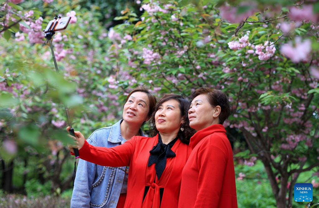 People enjoy outdoor activities as spring flowers bloom across China