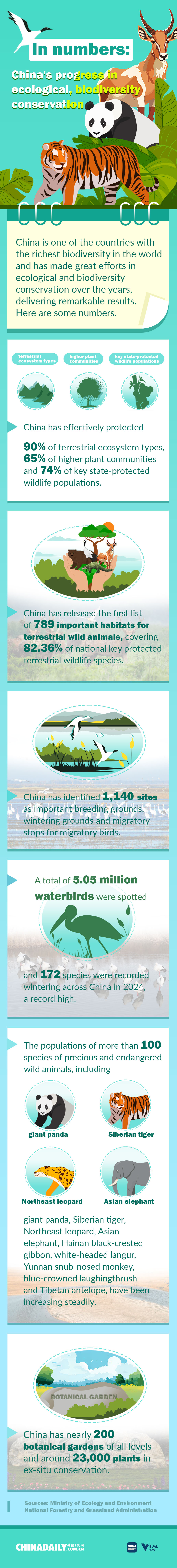 In numbers: China's progress in ecological, biodiversity conservation