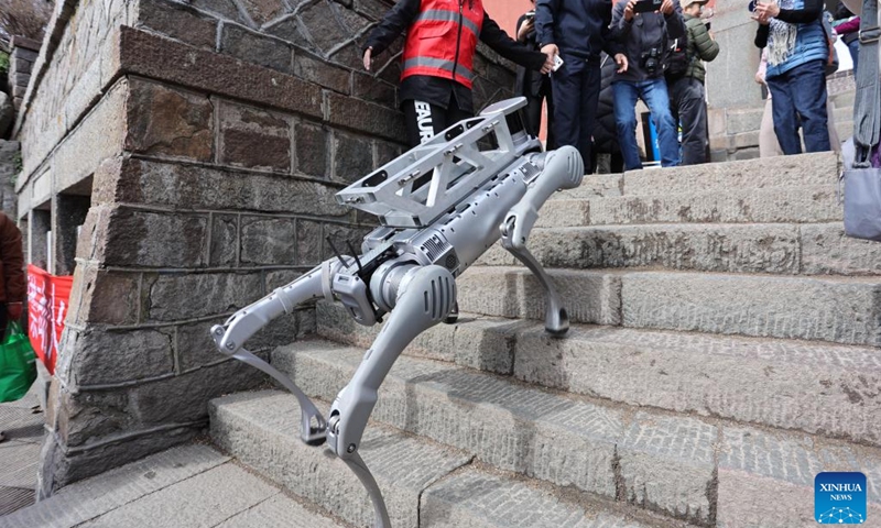 A robotic dog that would be deployed to deliver heavy loads including garbage is in a test run at the Mount Tai scenic area in Tai'an, east China's Shandong Province, Oct. 21, 2024. (Photo: Xinhua)