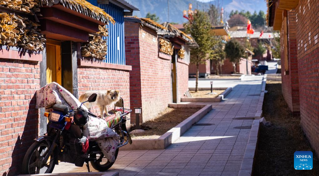 Village in Xizang sees substantial improvement in living condition