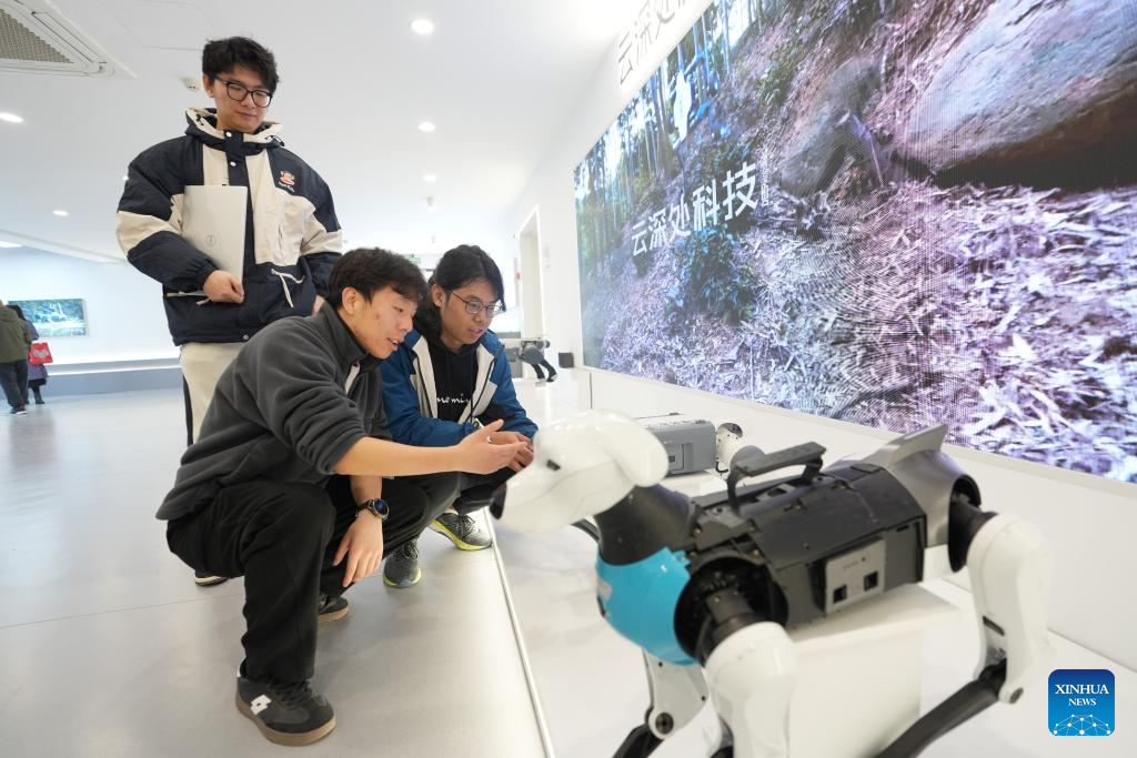 Young engineer enchanted with robotics in Hangzhou